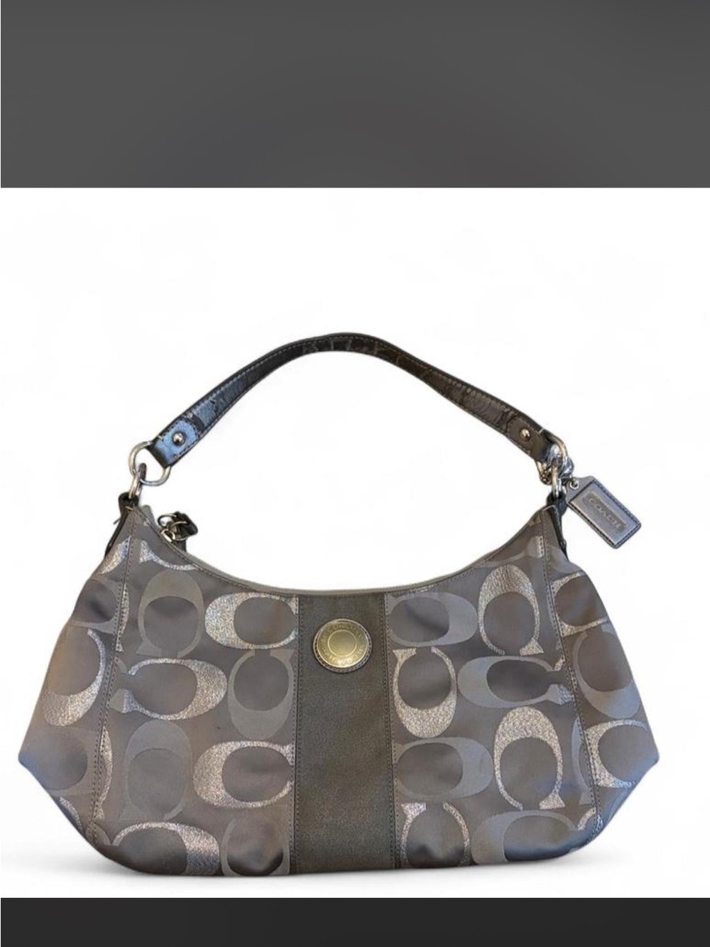 Coach Signature Hobo Bag in Gray